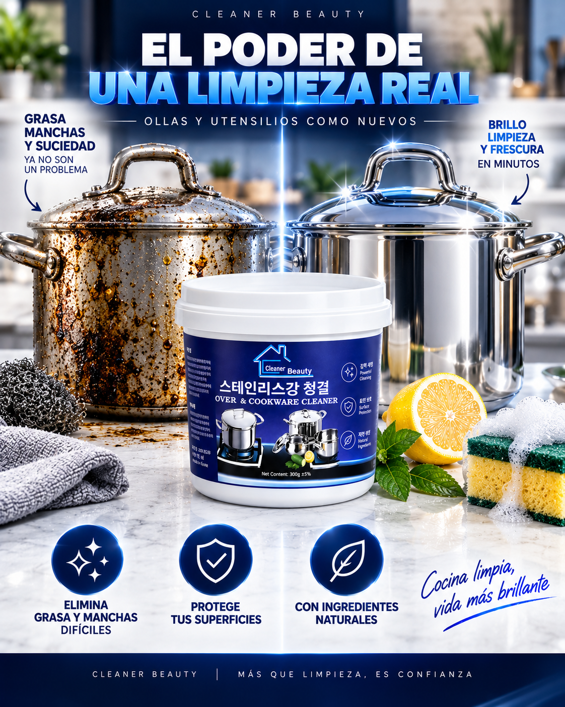Limpia Olla Multiusos Acero Hogar Inox